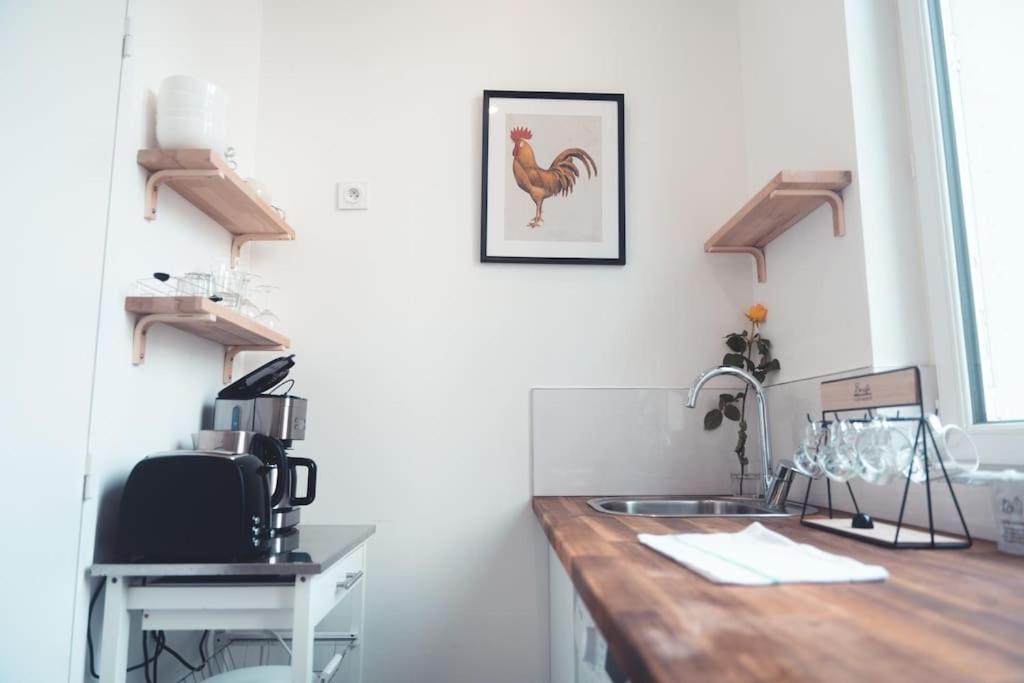 Appartement Le Sauvignon, T2 De Caractere Avec Jardin à Tours Extérieur photo